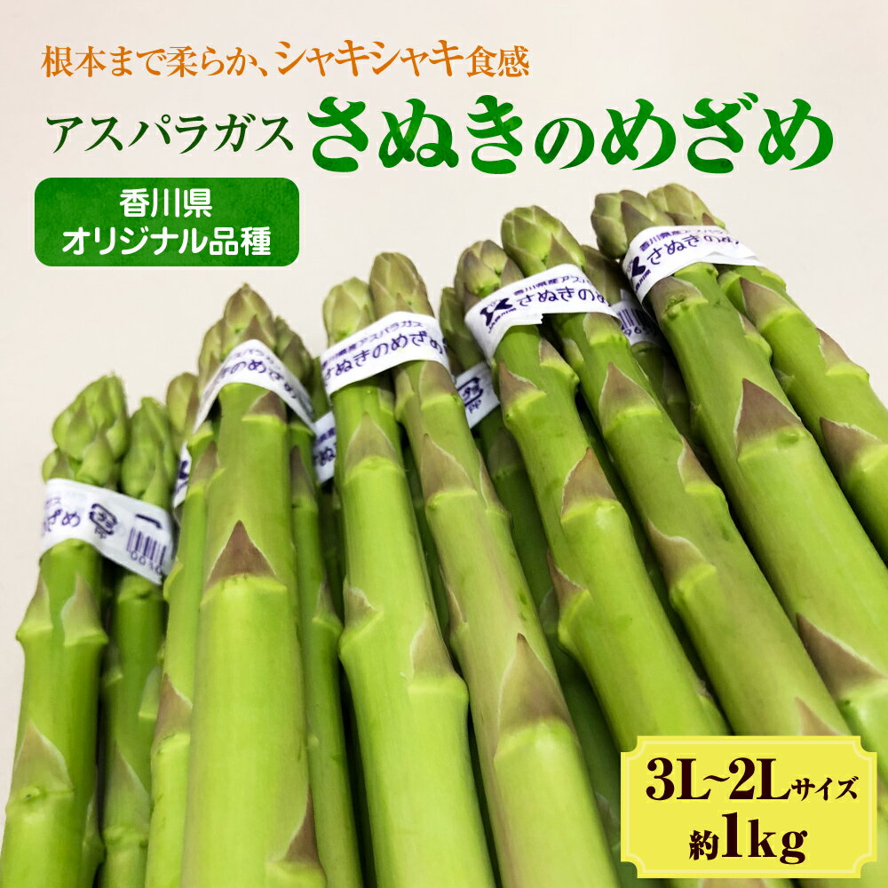 【ふるさと納税】アスパラガス【さぬきのめざめ】3L・2Lサイズ1kg　【野菜 夏野菜】　お届け：2024年2月下旬～5月下旬