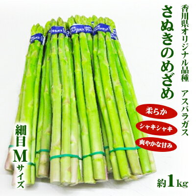 【ふるさと納税】アスパラガス【さぬきのめざめ】Mサイズ1kg　【野菜】　お届け：2024年2月下旬～5月下旬