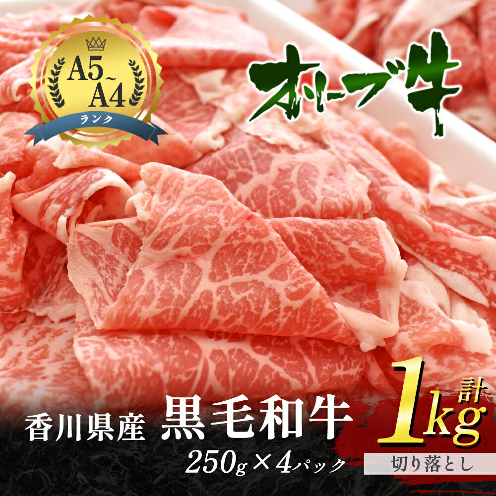 【ふるさと納税】香川県産 黒毛和牛 オリーブ牛 切り落とし 250g×4パック 合計1kg 小分け 牛肉　【お肉 牛肉】　お届け：発送可能時期より順次発送予定