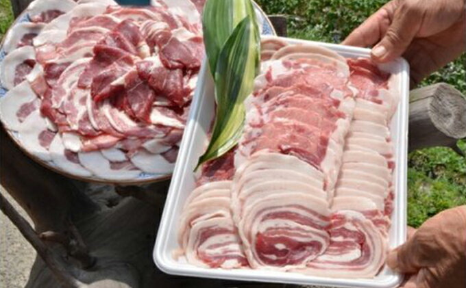 【ふるさと納税】自然の恵み【五名産猪肉】700g　【猪肉】