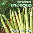 令和6年産　はなまる農園の乳酸菌入り アスパラ【さぬきのめざめ1kg】太め2L～3L　【 アスパラガス 野菜 朝採れ 旬野菜 季節野菜 産地直送 農家直送 クール便 バーベキュー BBQ サラダ 肉巻き おかず 】　お届け：2024年2月中旬～2024年10月下旬