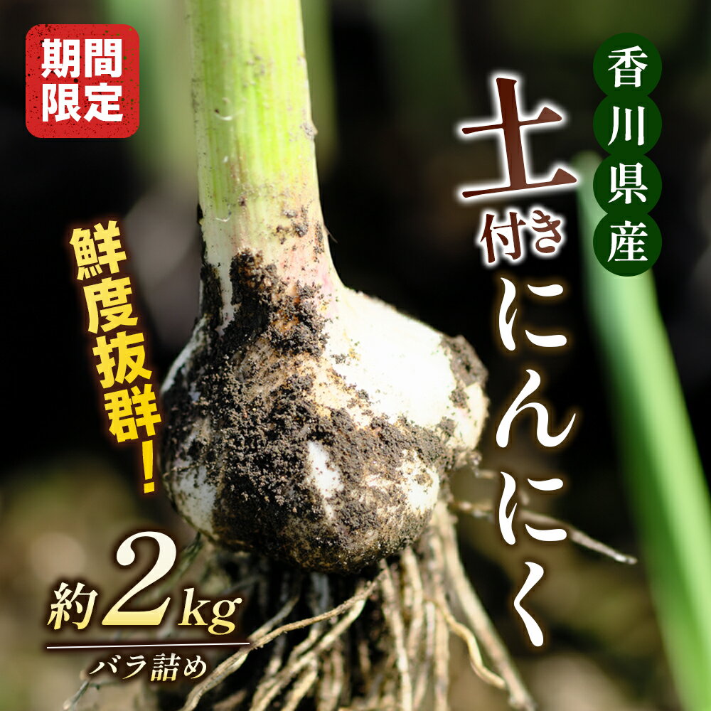 鮮度抜群!土付きにんにく 2kg [野菜・根菜] お届け:2024年5月上旬〜6月上旬