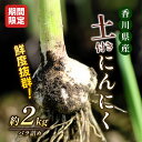 21位! 口コミ数「1件」評価「1」鮮度抜群！土付きにんにく 2kg　【野菜・根菜】　お届け：2024年5月上旬～6月上旬