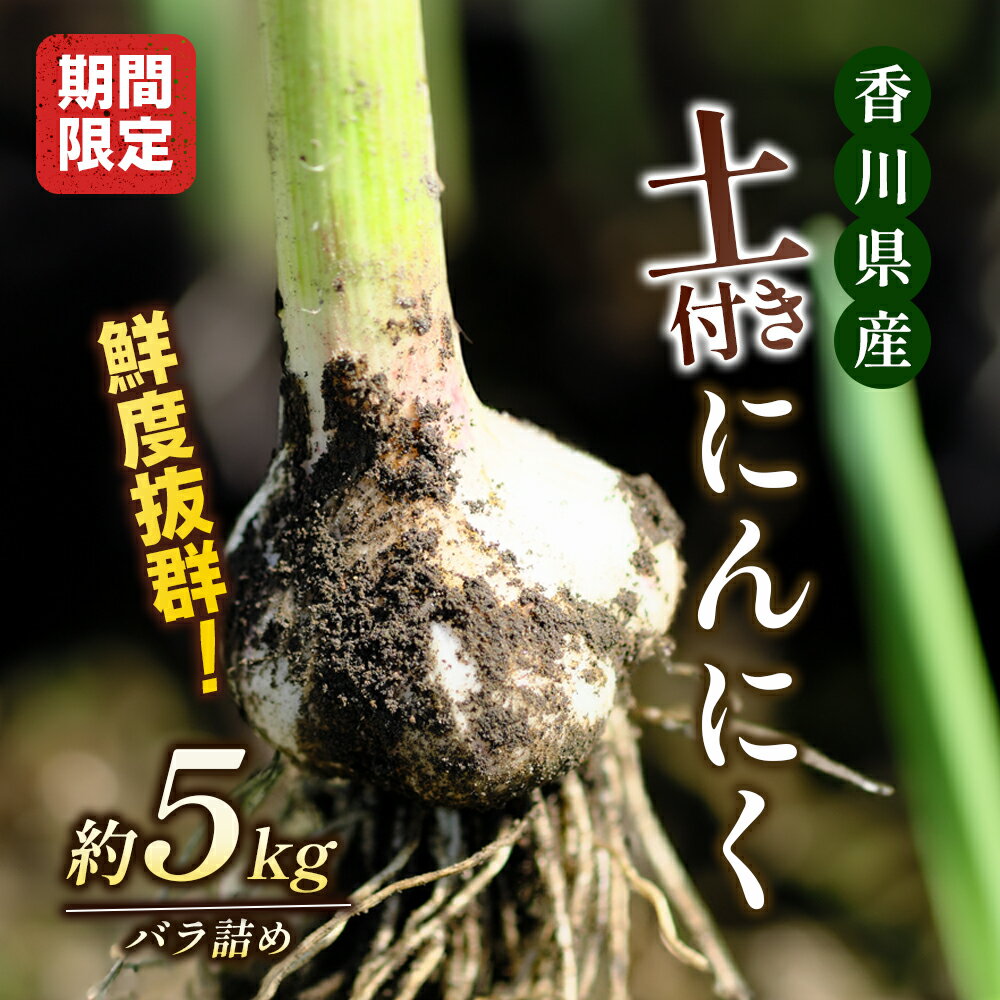 【ふるさと納税】鮮度抜群 土付きにんにく 5kg 【野菜・根菜】 お届け：2024年5月上旬～6月上旬