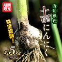 【ふるさと納税】鮮度抜群！土付きにんにく 5kg　【野菜・根菜】　お届け：2024年5月上旬～6月上旬