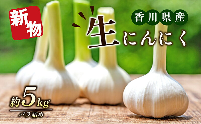 【ふるさと納税】生にんにく（新物）5kg　【野菜・根菜】　お届け：2024年5月上旬～6月上旬