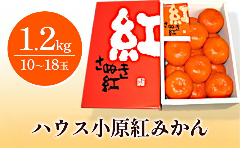 【ふるさと納税】ハウス小原紅早生みかん（さぬき紅）約1.2kg　【みかん・柑橘類・果物類・フルーツ】　お届け：2024年6月下旬～7月下旬