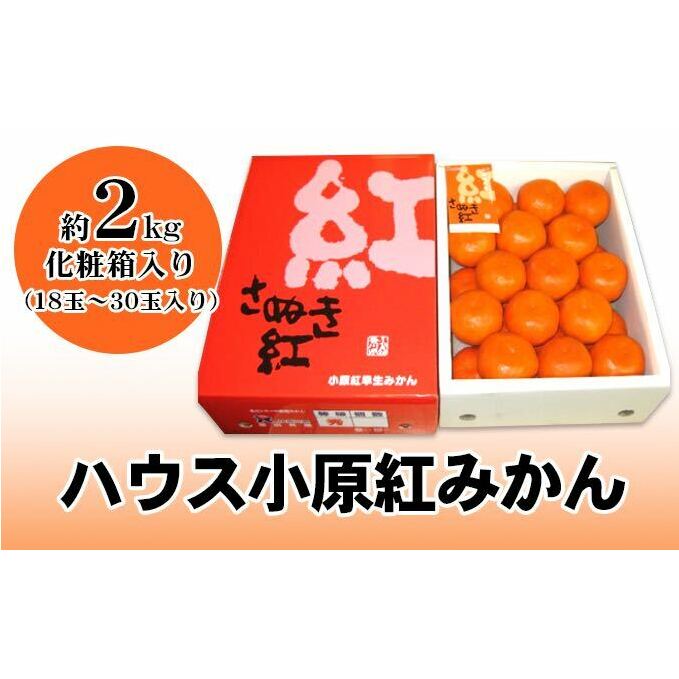 【ふるさと納税】ハウス小原紅早生みかん（さぬき紅）　約2kg　【果物類・みかん・柑橘類・フルーツ】　お届け：2023年6月下旬～7月下旬