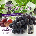 ハウスピオーネ 約2kg　　お届け：2024年7月上旬～8月下旬