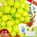 【ふるさと納税】極上 シャインマスカット 大房 2房 1.2kg 化粧箱 マスカット 葡萄 ぶどう ブドウ フルーツ 果物 くだもの 果実 旬の果物 旬のフルー...