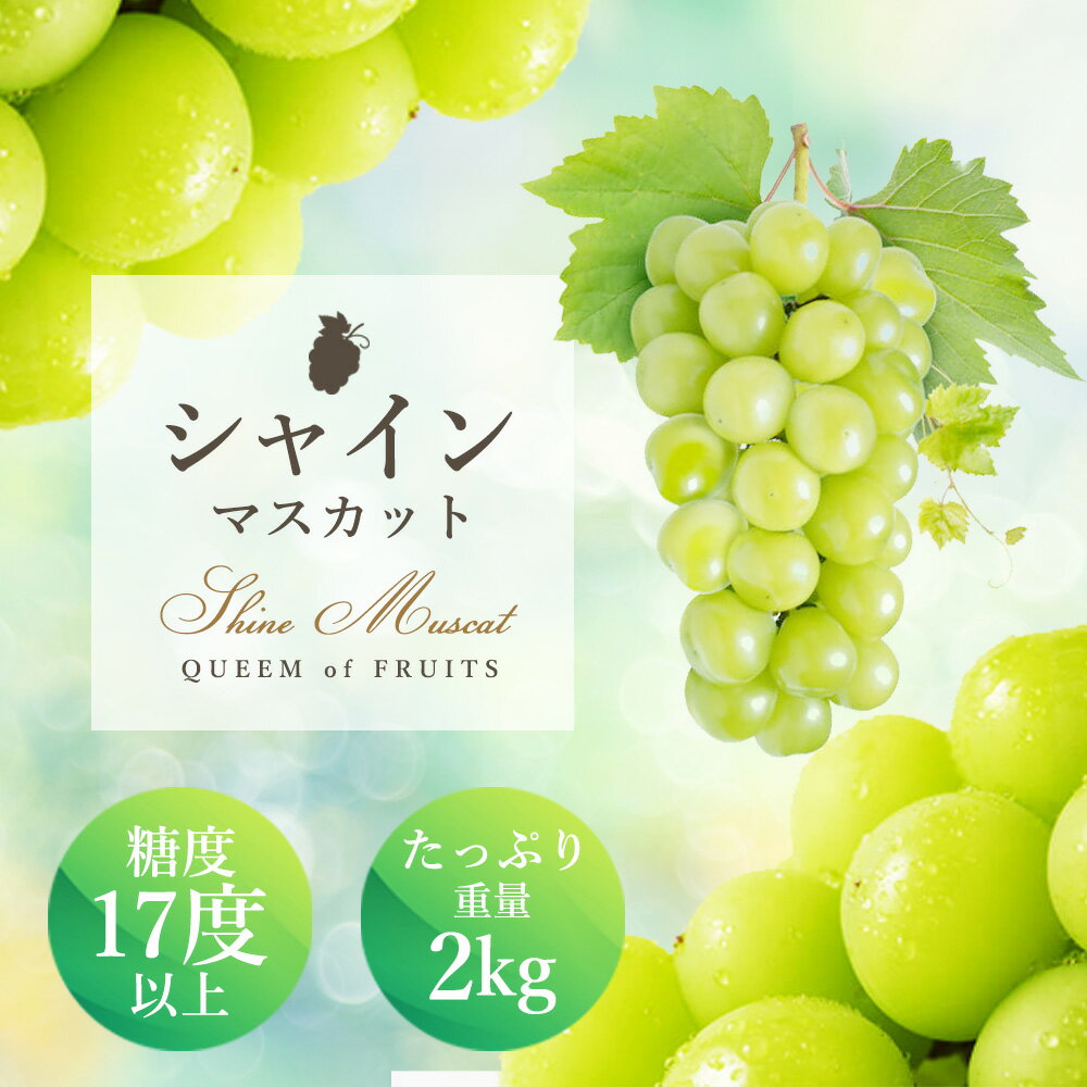 《化粧箱入り》最高級ハウス シャインマスカット 約2kg 糖度17度以上　　お届け：2024年7月中旬～8月中旬