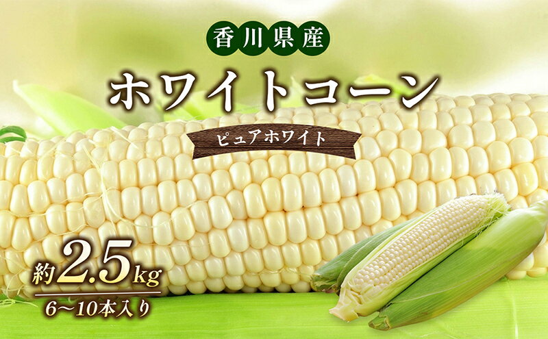 【ふるさと納税】ホワイトコーン（ピュアホワイト）約2.5kg　【とうもろこし・野菜・野菜セット】　お届け：2024年6月中旬～7月上旬