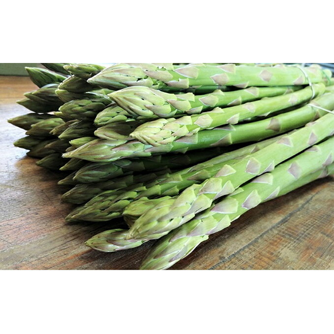 【ふるさと納税】砂川さんの特選 アスパラ 1kg 2Lサイズ【さぬきのめざめ】 アスパラガス 冷蔵便 野菜 甘い 美味しい グリーンアスパラ 1万円 10000...