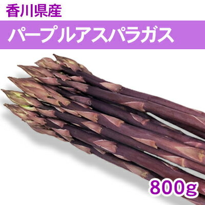 【ふるさと納税】パープルアスパラガス 800g　【アスパラガス 野菜 野菜セット】　お届け：2024年3月上旬～9月下旬