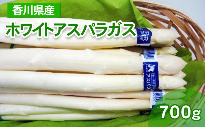 【ふるさと納税】ホワイトアスパラガス 700g（小分け 100g×7束）　【 アスパラ 香川県産 白アスパラ 冷蔵便 アスパラガス 野菜 甘い 美味しい 1万円以下 肉厚 野菜セット 新鮮 旬 とれたて お取り寄せ BBQ 贈り物 自宅用 家庭用 】　お届け：2024年3月上旬～9月下旬