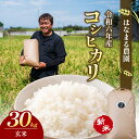 【ふるさと納税】はなまる農園令和6年新米香川県産「コシヒカリ（玄米）30kg」　【お米 玄米 コシヒカリ】　お届け：2024年9月10日～2025年1月31日