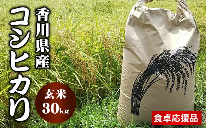 【ふるさと納税】「食卓応援品」香川県東かがわ市 令和5年産 コシヒカリ（玄米 30kg）　【お米 コシヒカリ 玄米 30kg】　お届け：2023年10月1日～