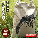 【ふるさと納税】《数量限定》 コシヒカリ 玄米 30kg 数量限定 令和4年 東かがわ市産（食卓応援返礼品）　【お米 コシヒカリ 玄米 30kg】　お届け：2022年10月1日〜･･･