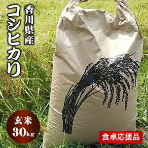 【ふるさと納税】コシヒカリ玄米30kg　令和4年東かがわ市産（食卓応援返礼品）　【お米・コシヒカリ・玄米・30kg】　お届け：2022年10月1日〜