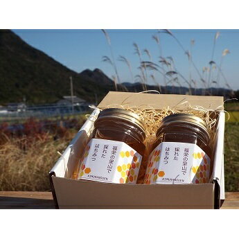【ふるさと納税】木村農園のはちみつ(170g×2本) 加工食品 蜂蜜
