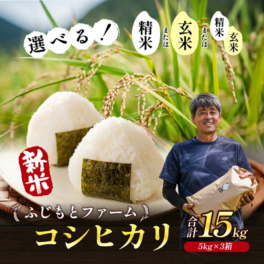 令和6年産 ふじもとファームの新米[コシヒカリ15kg] [お米・コシヒカリ] お届け:2024年9月10日〜2025年4月30日