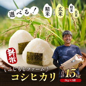 【ふるさと納税】令和6年産　ふじもとファームの新米【コシヒカリ15kg】　【お米・コシヒカリ】　お届け：2024年9月10日～2025年4月30日