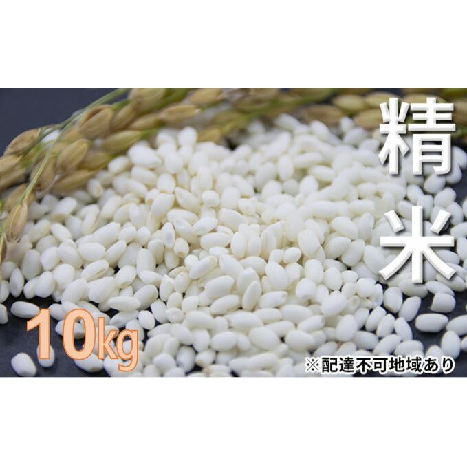 【ふるさと納税】東かがわ市産もち米（クレナイ）精米10kg【令和6年産】自家栽培米　お米 餅 もち 餅米 もち米 精米　お届け：2024年11月11日～12月25日のサムネイル