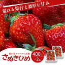 《高評価》 香川県オリジナル品種！ いちご化粧箱 400g×2箱（ フルーツ 苺 さぬき姫 ギフト 取り寄せ 糖度 甘い 大粒 贈答 プレゼント 果物類 デザート ストロベリー ）　　お届け：2024年1月下旬～5月上旬