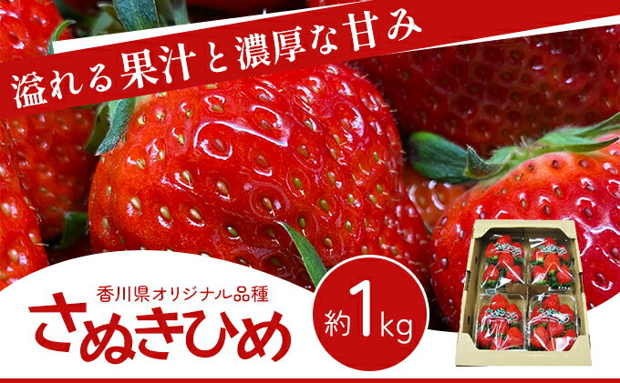 【ふるさと納税】香川県 オリジナル品種！ いちご【さぬきひめ】1kg（ フルーツ 果物類 苺 さぬき姫 取り寄せ 送料無料 糖度 甘い 農園 特産品 秀品 大粒 1キロ デザート ストロベリー 国産 冷蔵便 ）　【 香川県東かがわ市 】　お届け：2024年1月下旬～6月上旬