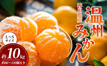 【ふるさと納税】温州みかん 約10kg（内傷み補充分1kg）　【柑橘類・果物類・柑橘類・みかん・フルーツ・ミカン・蜜柑・くだもの】　お届け：2022年11月20日〜2023年1月31日