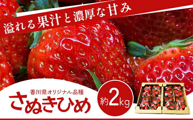 【ふるさと納税】《高評価》 香川県オリジナル品種！ いちご【さぬきひめ】2kg（ フルーツ 果物類 苺 さぬき姫 取り寄せ 糖度 甘い 農園 特産品 秀品 大粒 デザート 人気 ストロベリー 冷蔵便 ）　【 香川県東かがわ市 】　お届け：2024年1月下旬～6月上旬