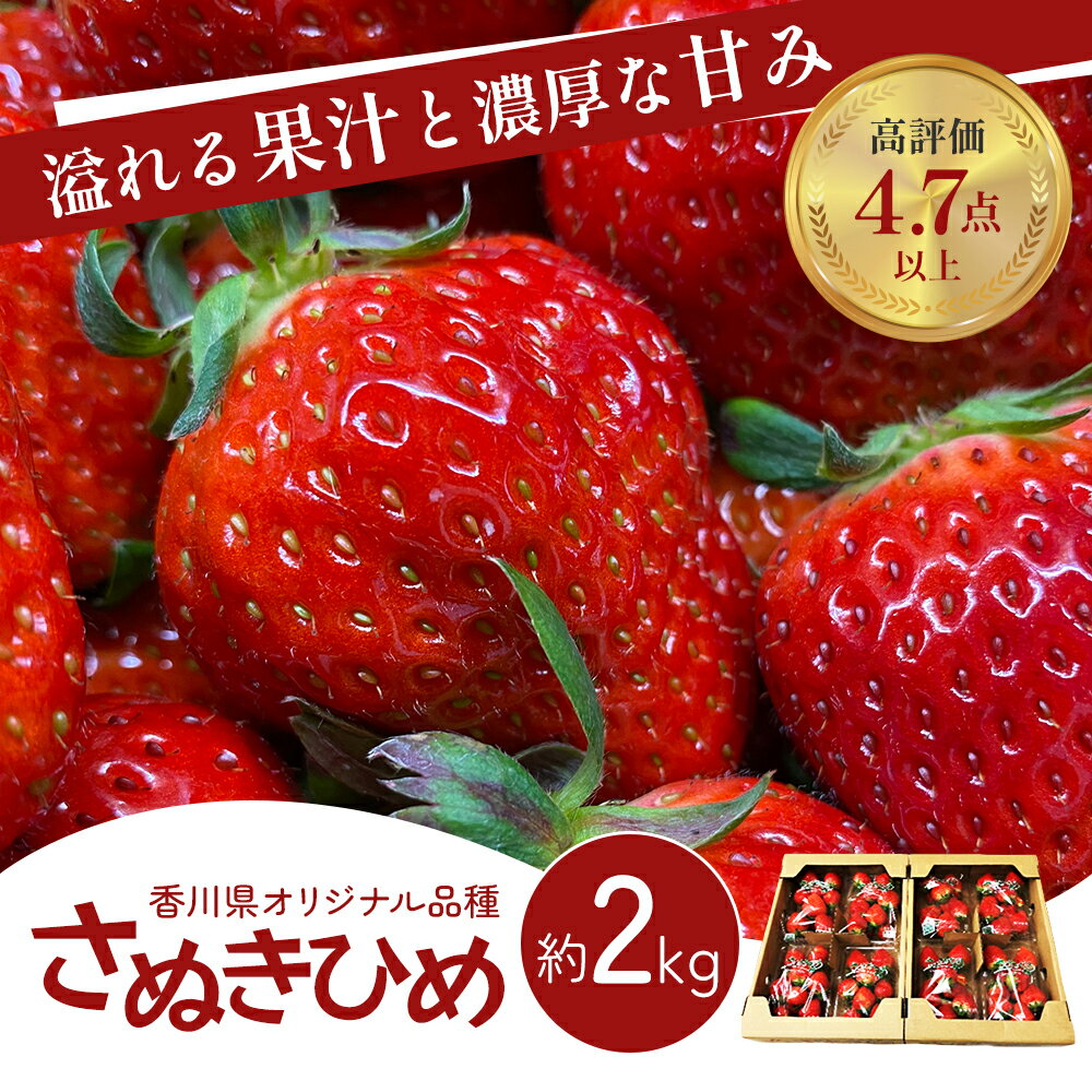 [高評価] 香川県オリジナル品種! いちご[さぬきひめ]2kg( フルーツ 果物類 苺 さぬき姫 取り寄せ 糖度 甘い 農園 特産品 秀品 大粒 デザート 人気 ストロベリー 冷蔵便 ) [ 香川県東かがわ市 ] お届け:2024年1月下旬〜6月上旬