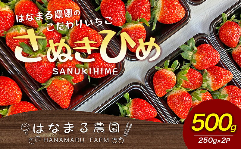 【ふるさと納税】はなまる農園のこだわりいちご【さぬきひめ】500g　【果物類 フルーツ 果物類 いちご 苺 イチゴ】　お届け：2024年1月20日～5月中旬