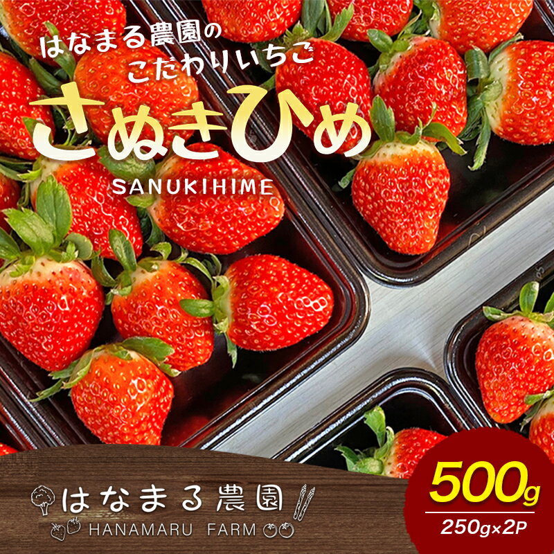【ふるさと納税】はなまる農園のこだわりいちご【さぬきひめ】500g　果物類 フルーツ 果物類 いちご 苺 イチゴ　お届け：2025年1月20日～5月中旬のサムネイル