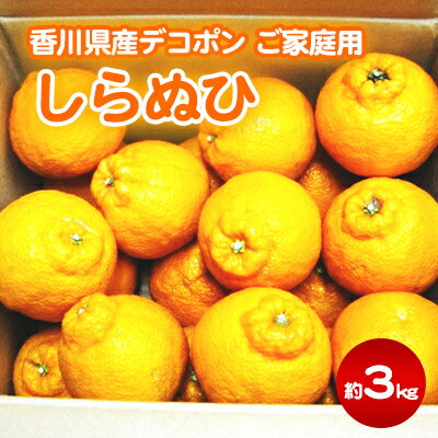 【ふるさと納税】ご家庭用しらぬひ 約3kg デコポン　【フルーツ 果物類 みかん 柑橘類 デコポン】　お届け：2024年3月上旬～4月上旬