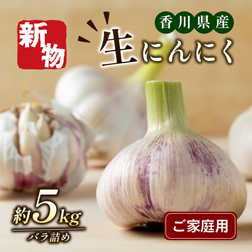 乾燥にんにく 約10kg [野菜・野菜セット・乾燥にんにく・にんにく・ニンニク・約10kg] お届け:2024年5月10日〜6月10日