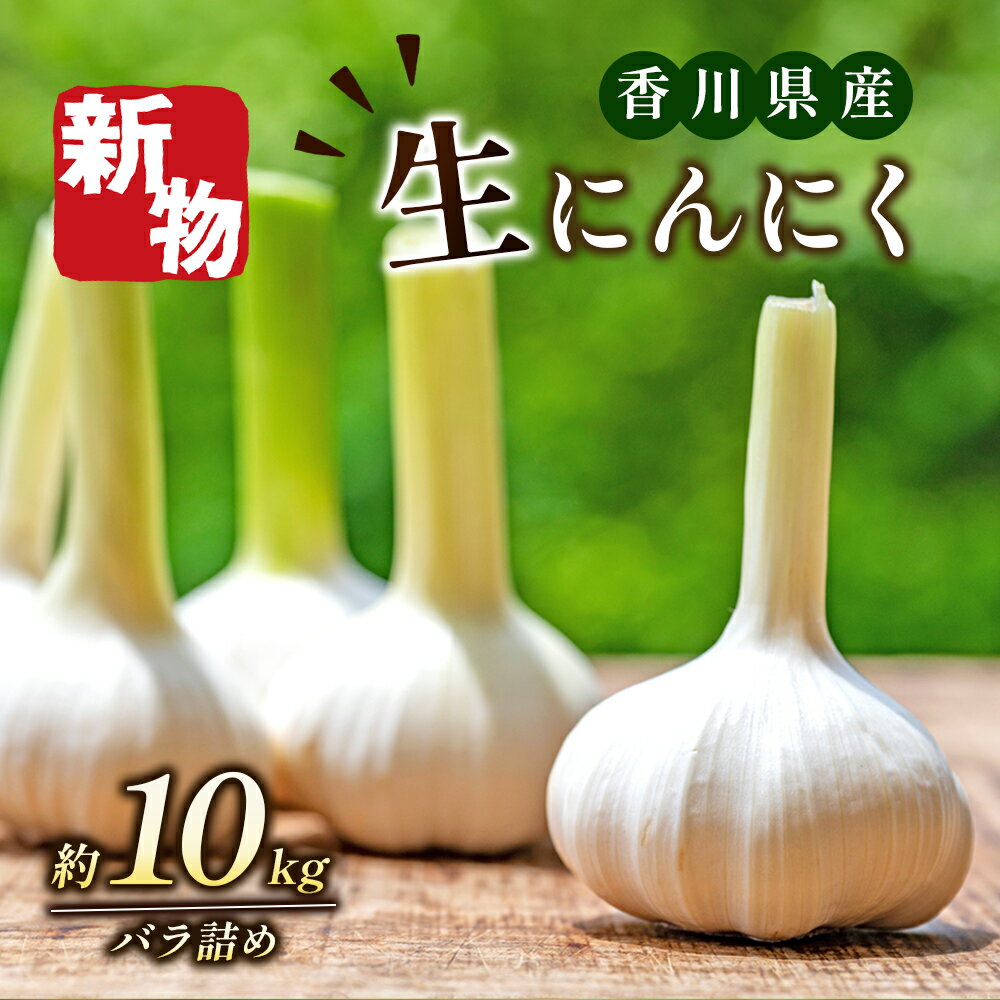 生にんにく(新物)約10kg [野菜・野菜セット・生にんにく・にんにく・ニンニク・約10kg] お届け:2024年5月10日〜6月10日