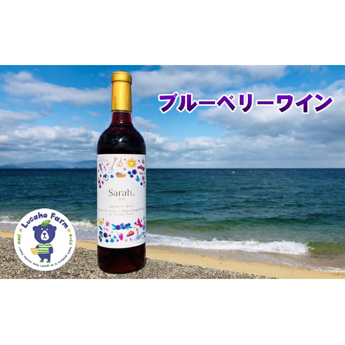 海のキレイな街で育ったブルーベリーワイン　【お酒 ワイン】