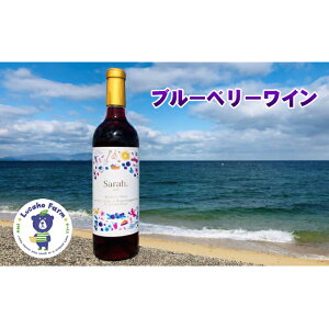 【ふるさと納税】海のキレイな街で育ったブルーベリーワイン　【お酒 ワイン】