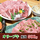 【ふるさと納税】【発送月が選べる】香川県産黒毛和牛オリーブ牛焼肉　500g　【お肉 牛肉 焼肉 バーベキュー 黒毛和牛 オリーブ牛 コク さっぱり やわらかい ヘルシー A4ランク】　お届け：2024年10月1日～2024年3月31日