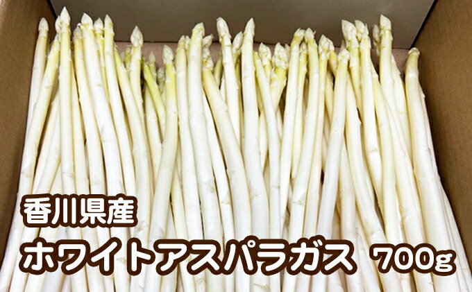 【ふるさと納税】ご家庭用ホワイトアスパラガス　約700g　【野菜 野菜セット アスパラガス ご家庭用 ホワイトアスパラガス 約700g アスパラ】　お届け：2024年3月上旬～9月下旬