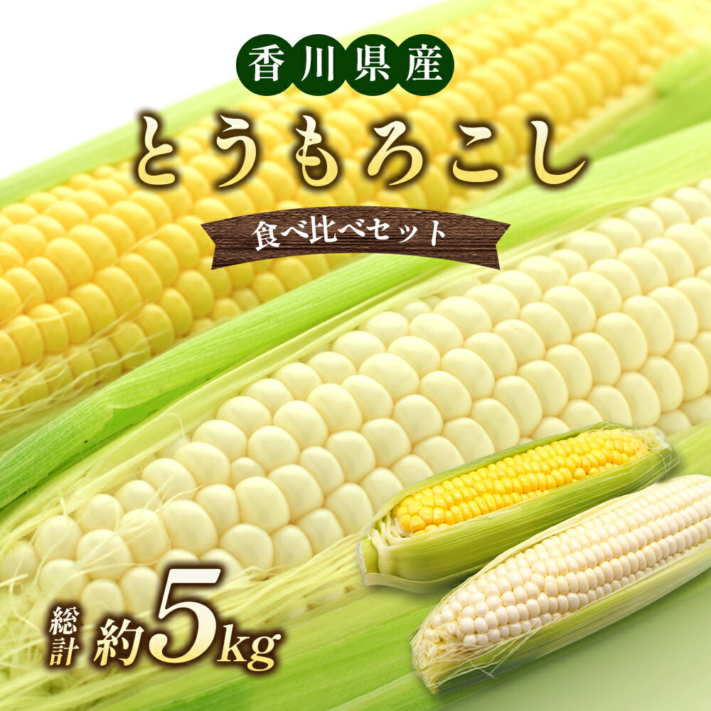 とうもろこし食べ比べセット　約5kg　【野菜・野菜セット・野菜・とうもろこし・甘味・イエローコーン・ホワイトコーン・詰合せ】　お届け：2024年6月中旬～7月上旬