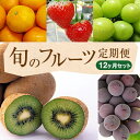 【ふるさと納税】讃岐のフルーツ12回定期便　【定期便・ 果物