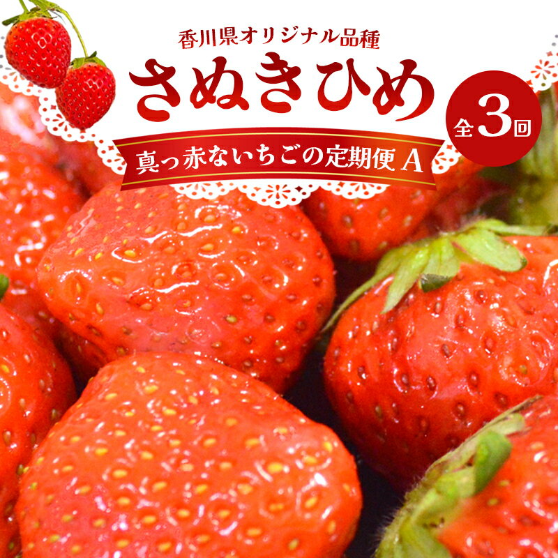 【ふるさと納税】東かがわ市真っ赤な「いちご」の定期便（A）　【定期便・ 果物類 フルーツ スイーツ 果物 ストロベリー さぬきひめいちご 】　お届け：2023年1月1日〜3月末･･･