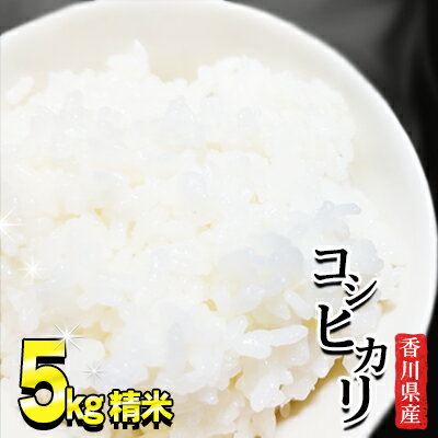 きれいな水で育てた香川県産コシヒカリ5kg(精米) [ お米 白米 ライス ご飯 ブランド米 銘柄米 お弁当 おにぎり 食卓 産地直送 主食 炭水化物 和食 国産 日本産 エコファーマー認定農家 ] お届け:2024年3月〜