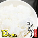 人気ランキング第30位「香川県東かがわ市」口コミ数「0件」評価「0」きれいな水で育てた香川県産コシヒカリ10kg（精米5kg×2袋）　【 お米 白米 ライス ご飯 ブランド米 銘柄米 お弁当 おにぎり 食卓 産地直送 主食 炭水化物 和食 国産 日本産 エコファーマー認定農家 】　お届け：2024年3月～