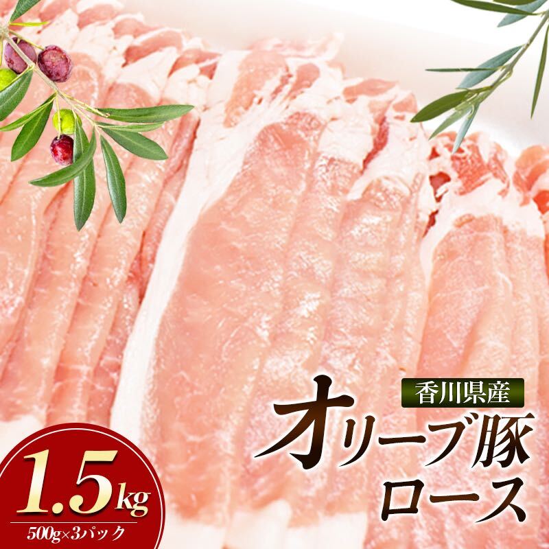 香川県産オリーブ豚 1500g 小分け(500g×3)「5月発送または8月発送または11月発送」 [ お肉 豚肉 ロース しゃぶしゃぶ オリーブ 香川県産 赤身 うま味 さっぱり 料理 美味しい スライス ] お届け:2024年5月6日〜2024年11月30日