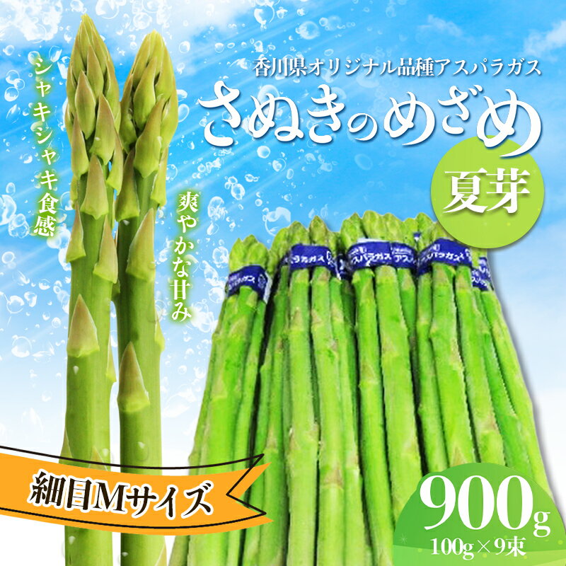 【ふるさと納税】アスパラガス【さぬきのめざめ】夏芽Mサイズ900g　【 グリーンアスパラガス 野菜 柔...