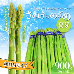 【ふるさと納税】アスパラガス【さぬきのめざめ】夏芽Mサイズ900g　【 グリーンアスパラガス 野菜 柔らかい シャキシャキ 旬の野菜 国産 食材 】　お届け：2024年6月上旬～9月下旬