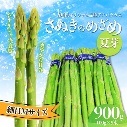 アスパラガス【さぬきのめざめ】夏芽Mサイズ900g　【 グリーンアスパラガス 野菜 柔らかい シャキシャキ 旬の野菜 国産 食材 】　お届け：2024年6月上旬～9月下旬